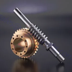 Duplex Worm Gear