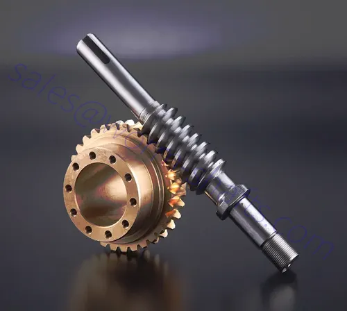 Duplex Worm Gear