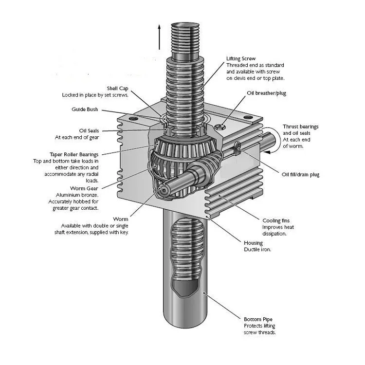 Worm Shaft Gear